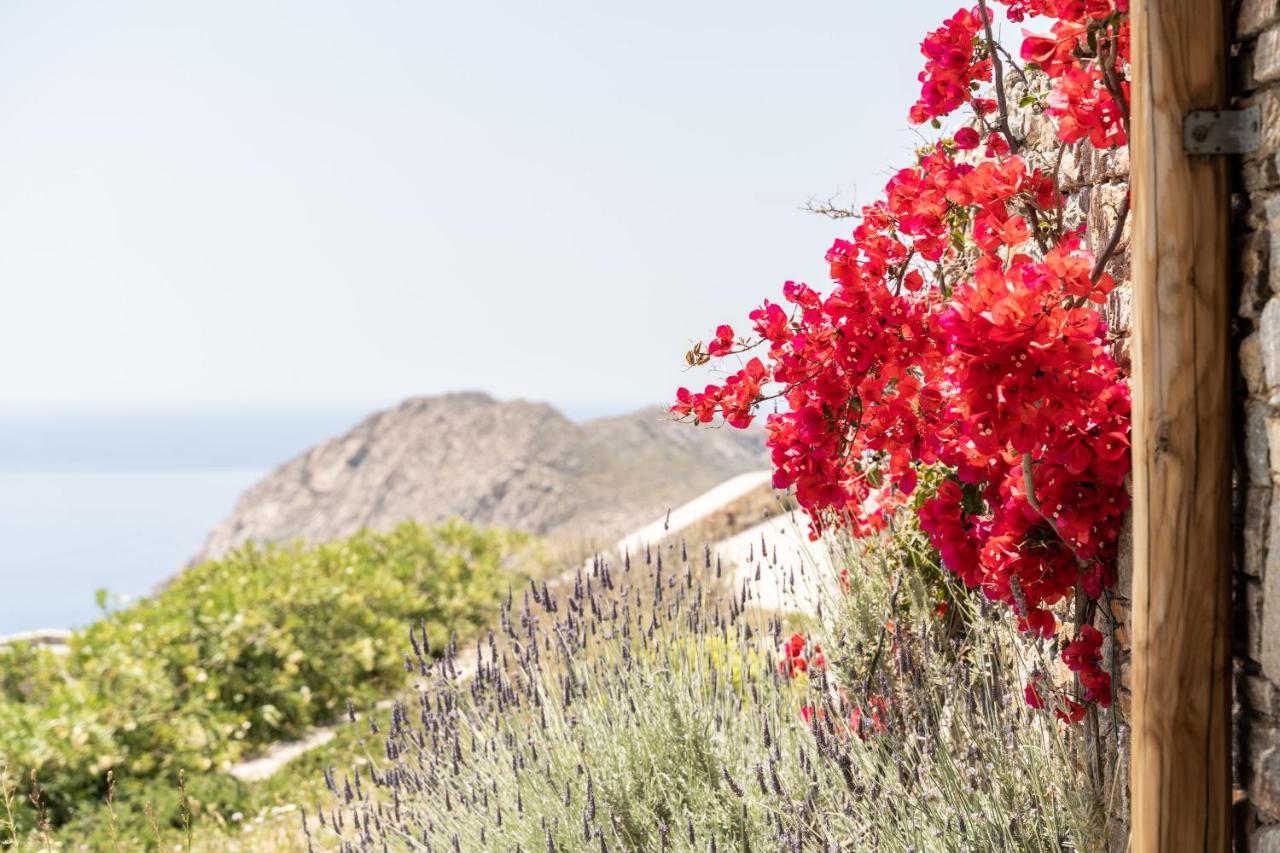 Ammoa Panorama Βίλα Sotiras Εξωτερικό φωτογραφία
